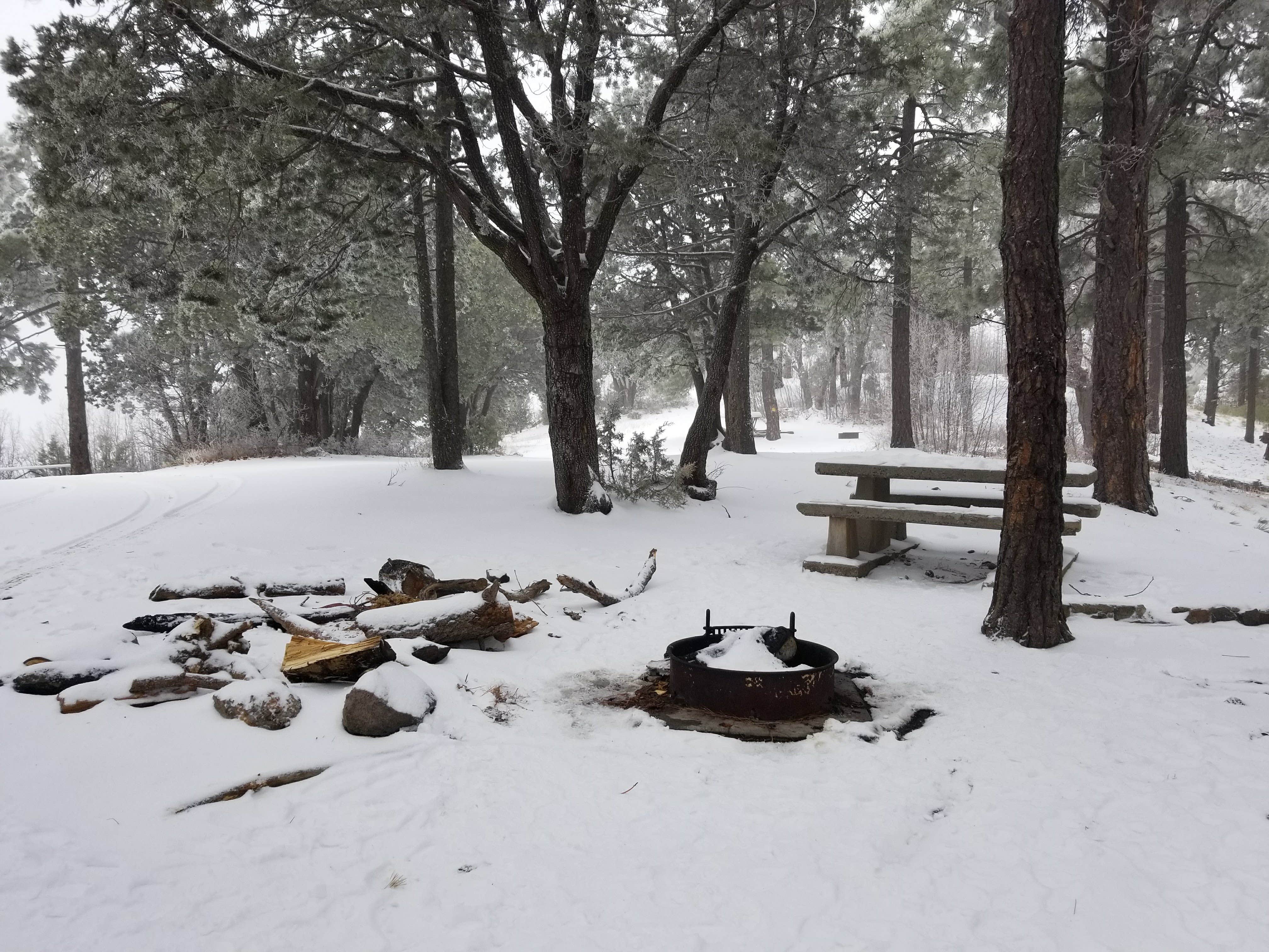 Camper submitted image from Pinal Campground - 1