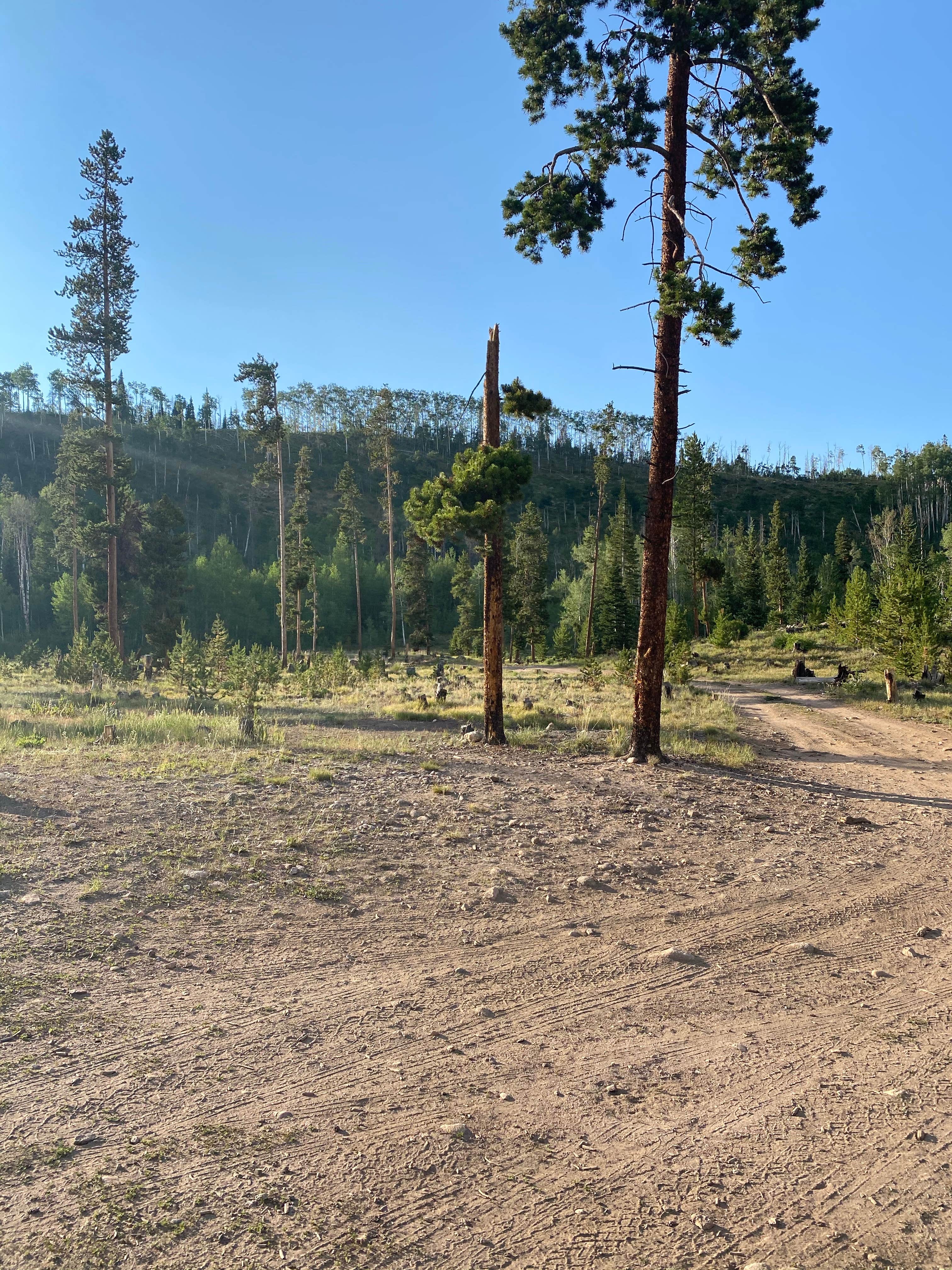 Camper submitted image from Rock Creek Designated Dispersed Camping - 4