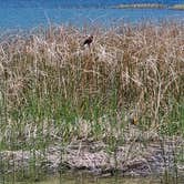 Review photo of Logan State Park Campground by Shallon H., July 23, 2020