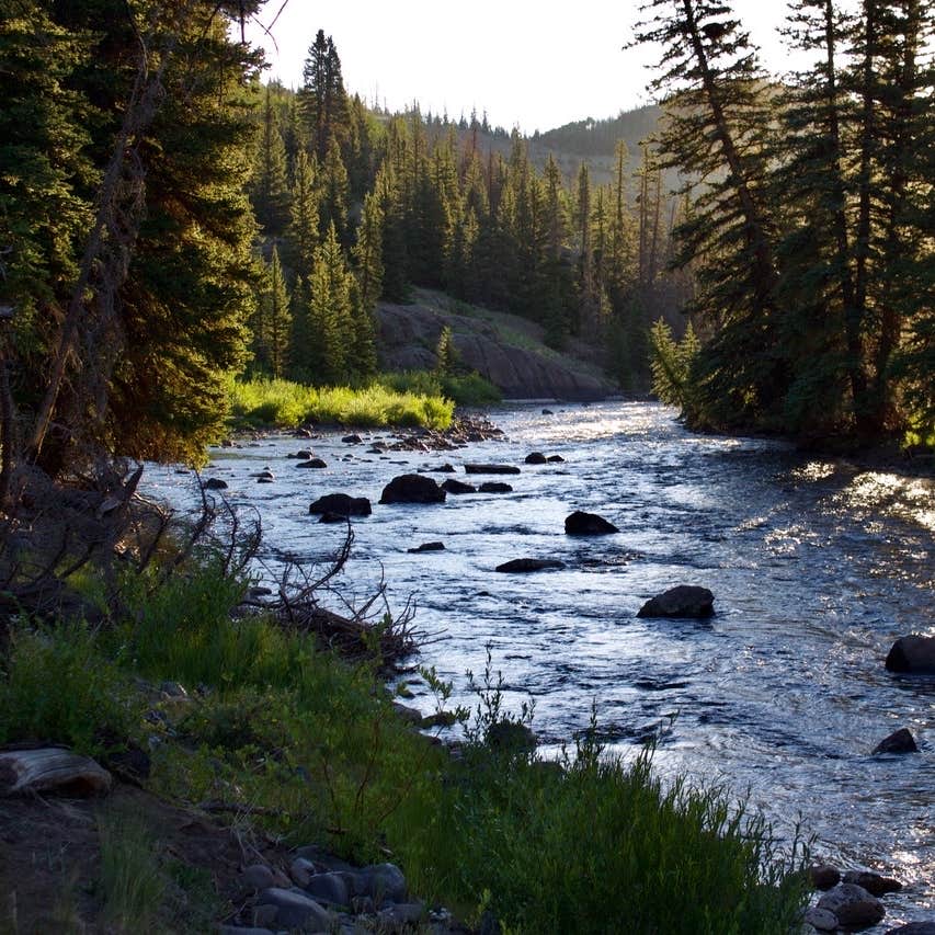 River Hill Camping Creede, CO