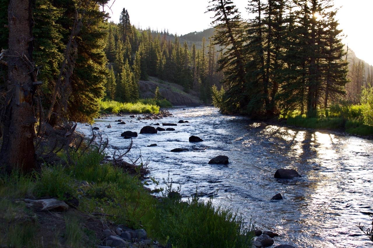 Camper submitted image from River Hill - 5