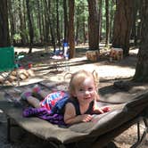 Review photo of Trinity Lake KOA Holiday by Larry  L., July 23, 2020