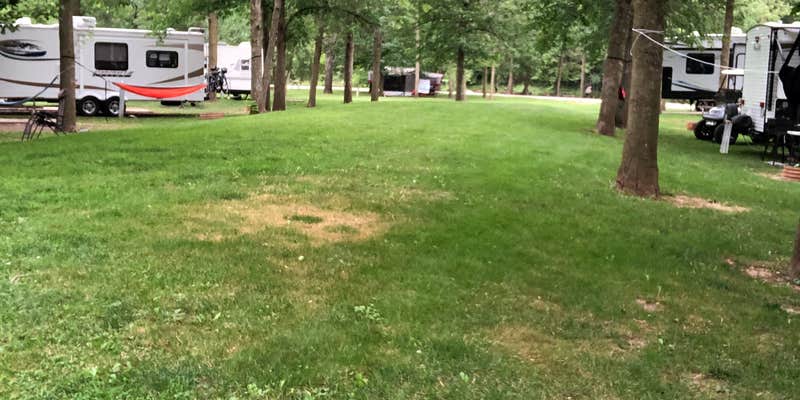 Camper submitted image from River Ridge Campground