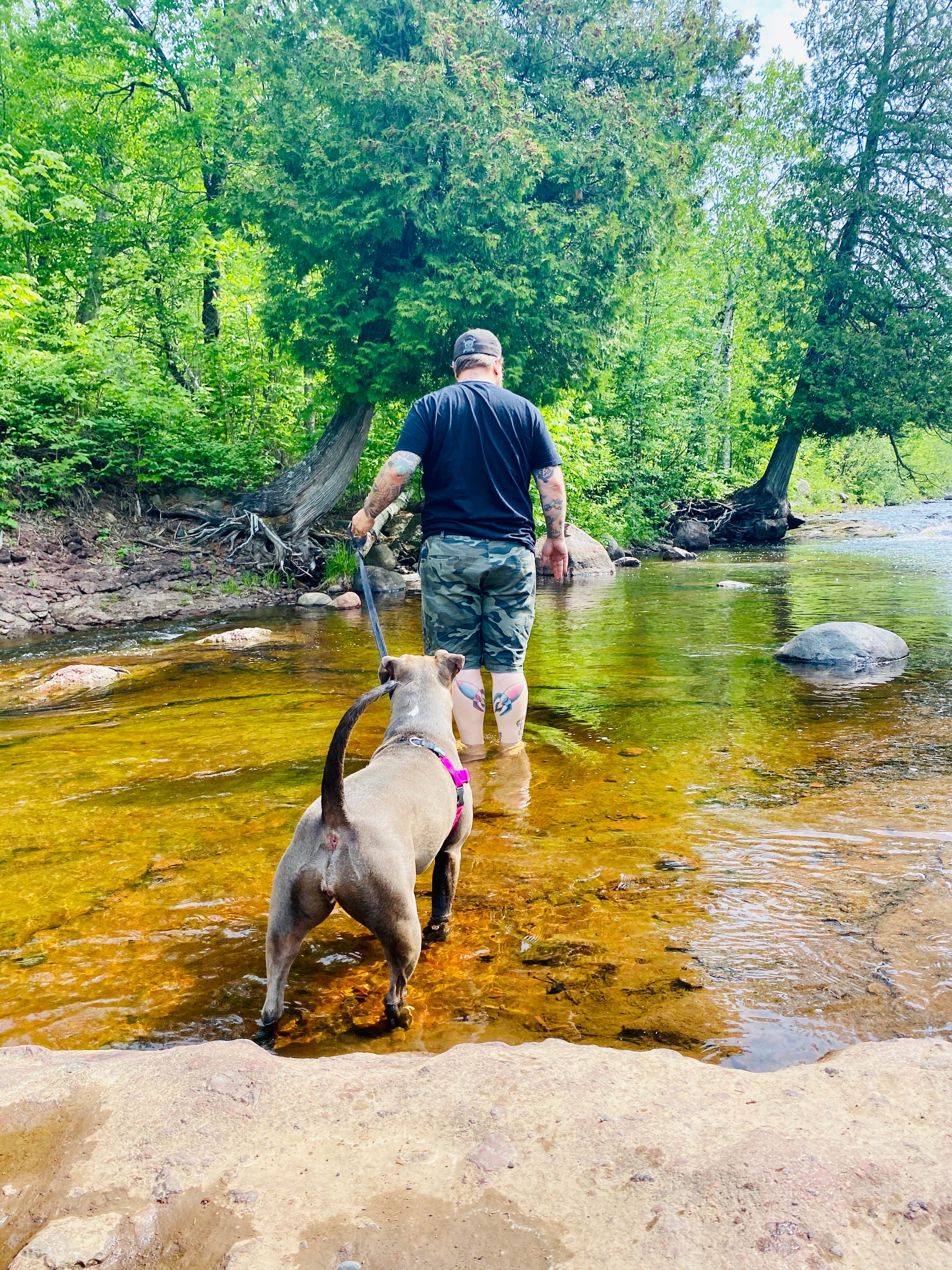 Camper-submitted photo at Grand Marais Campground & Marina in Minnesota