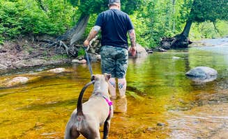 PJ F.'s photo of camping with pets at Grand Marais Campground & Marina near Lutsen, MN