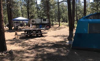 Troy L.'s photo at Heart Bar Campground near Big Bear City, CA
