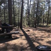 Review photo of Heart Bar Campground by Troy L., July 23, 2020