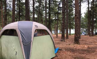Kathrina M.'s photo at Monument Lake Resort near San Luis, CO