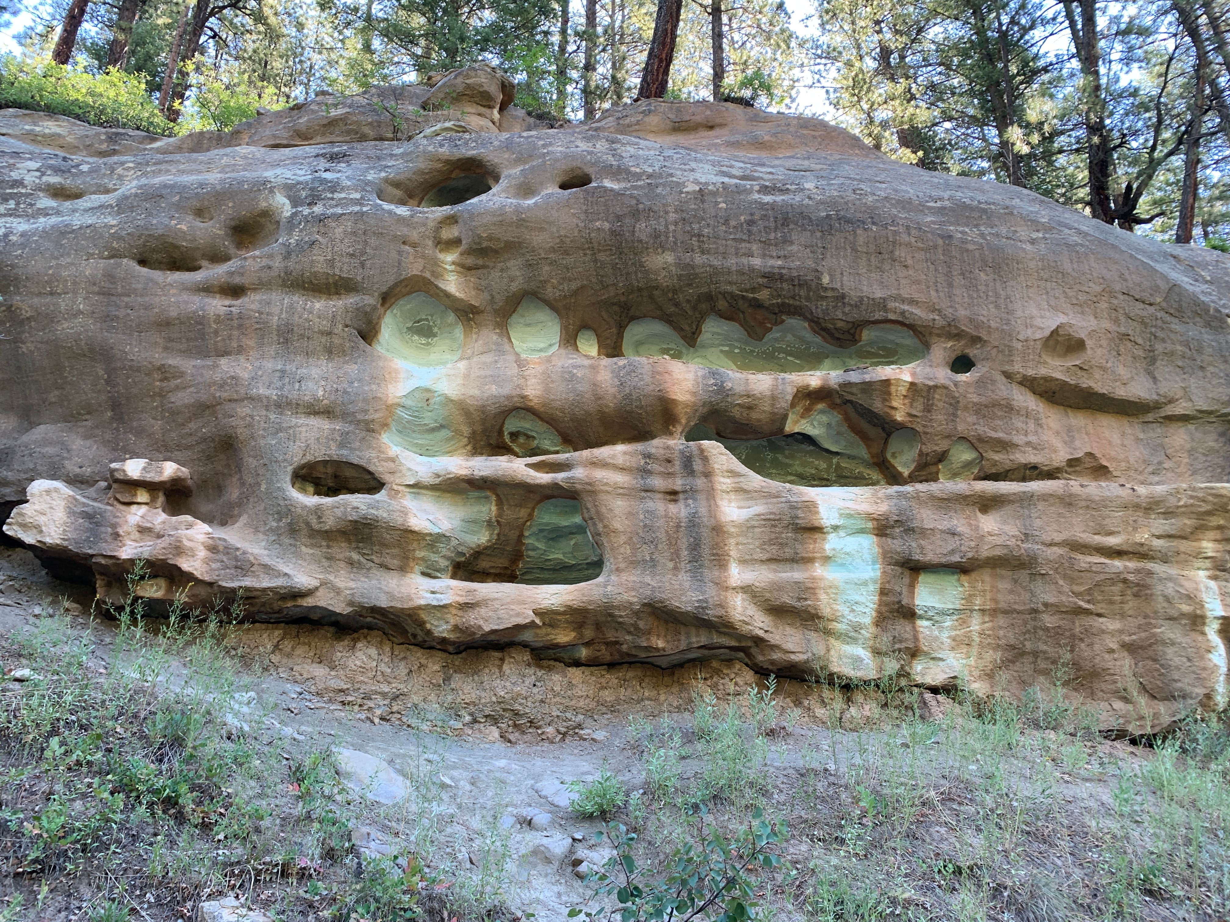 Camper submitted image from HTR Durango Campground - 5