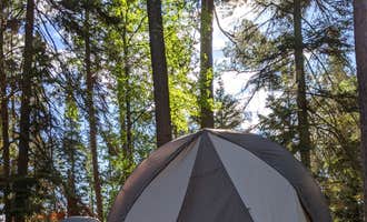 Camping near Button Box Lake Campground and Day-Use Area: The Lodge Campground — Scenic State Park, Bigfork, Minnesota