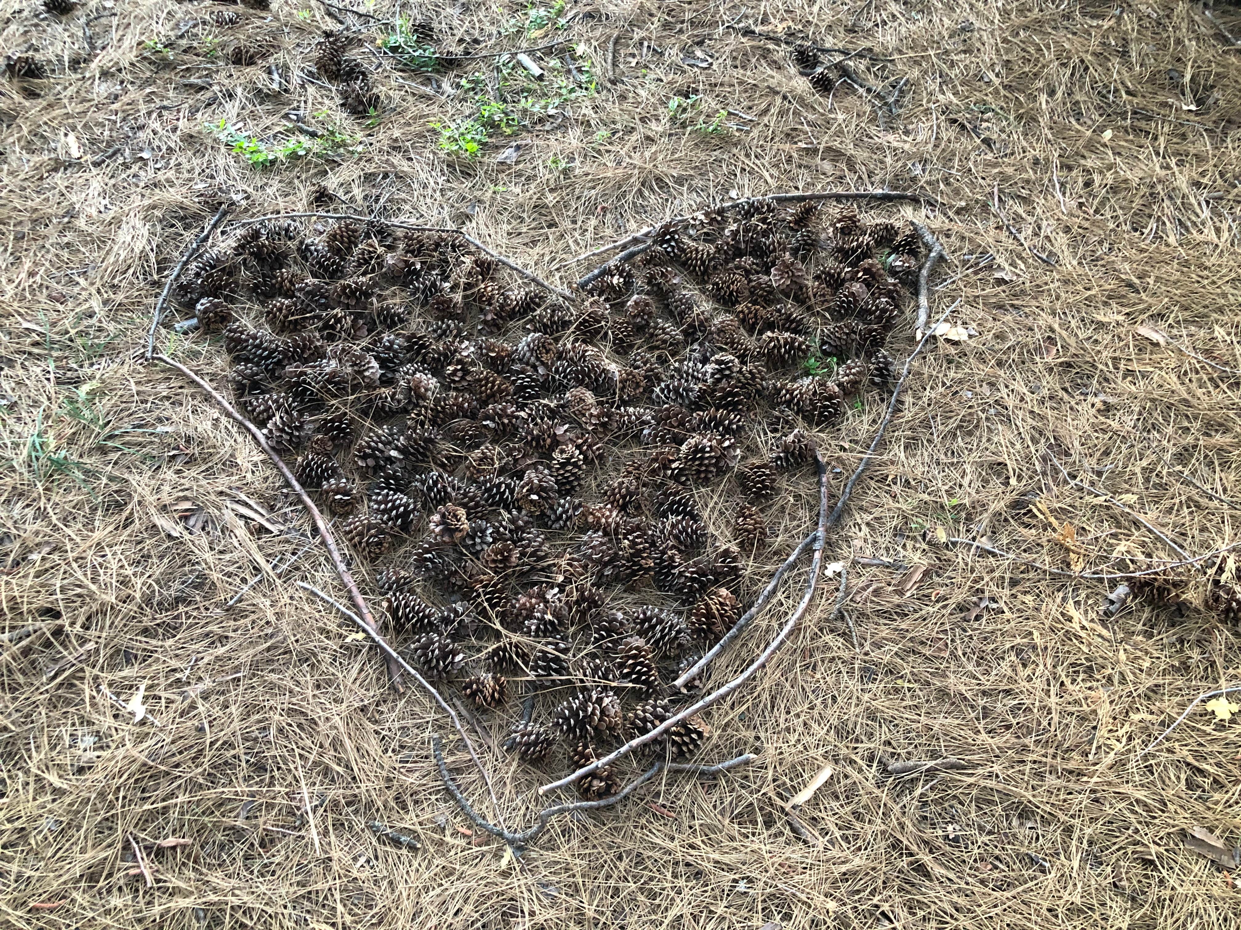 Camper-submitted photo at Giant Gap near Gold Run, CA