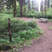 Review photo of Ainsworth State Park Campground by michelle D., July 23, 2020