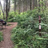 Review photo of Ainsworth State Park Campground by michelle D., July 23, 2020