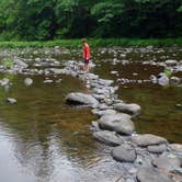 Review photo of Jamaica State Park Campground by Michele S., July 23, 2020