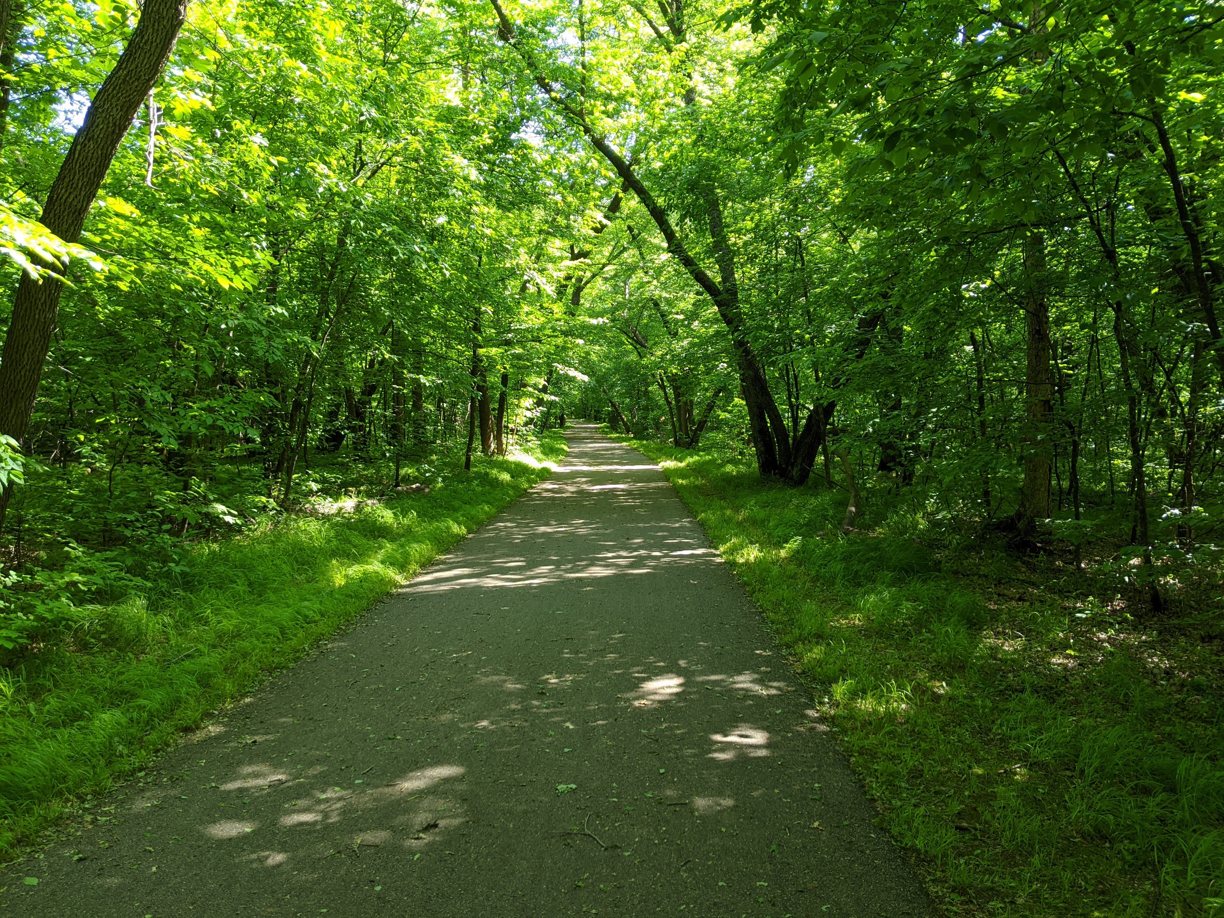 One of the many trails throughout the park.  Most are wide, flat and shaded by hardwood forest