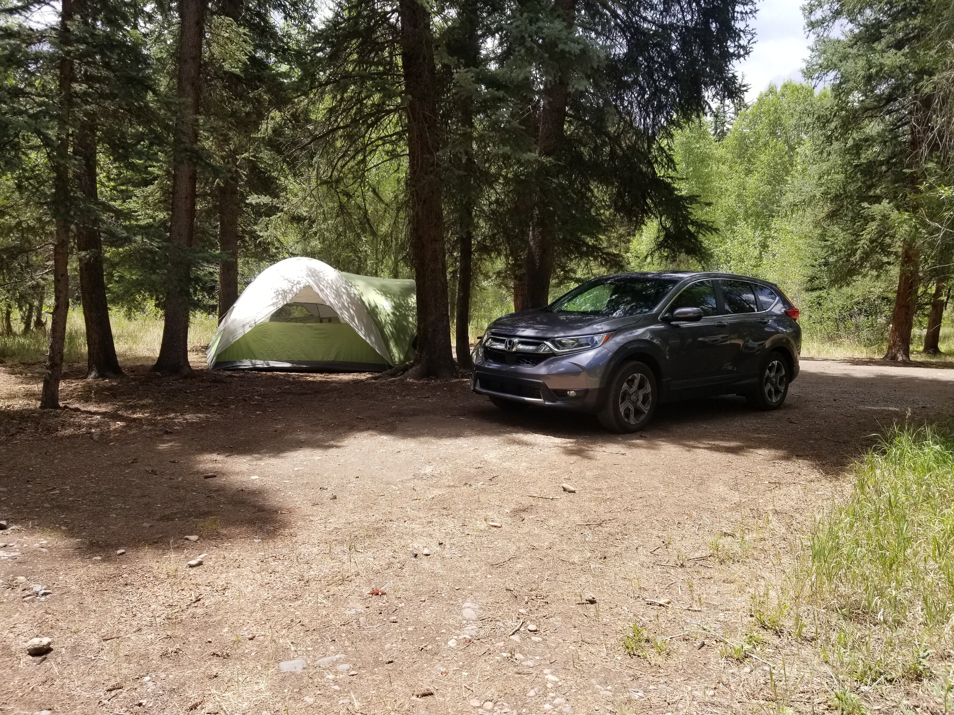 Camper submitted image from Gunnison National Forest Soap Creek Campground - 5