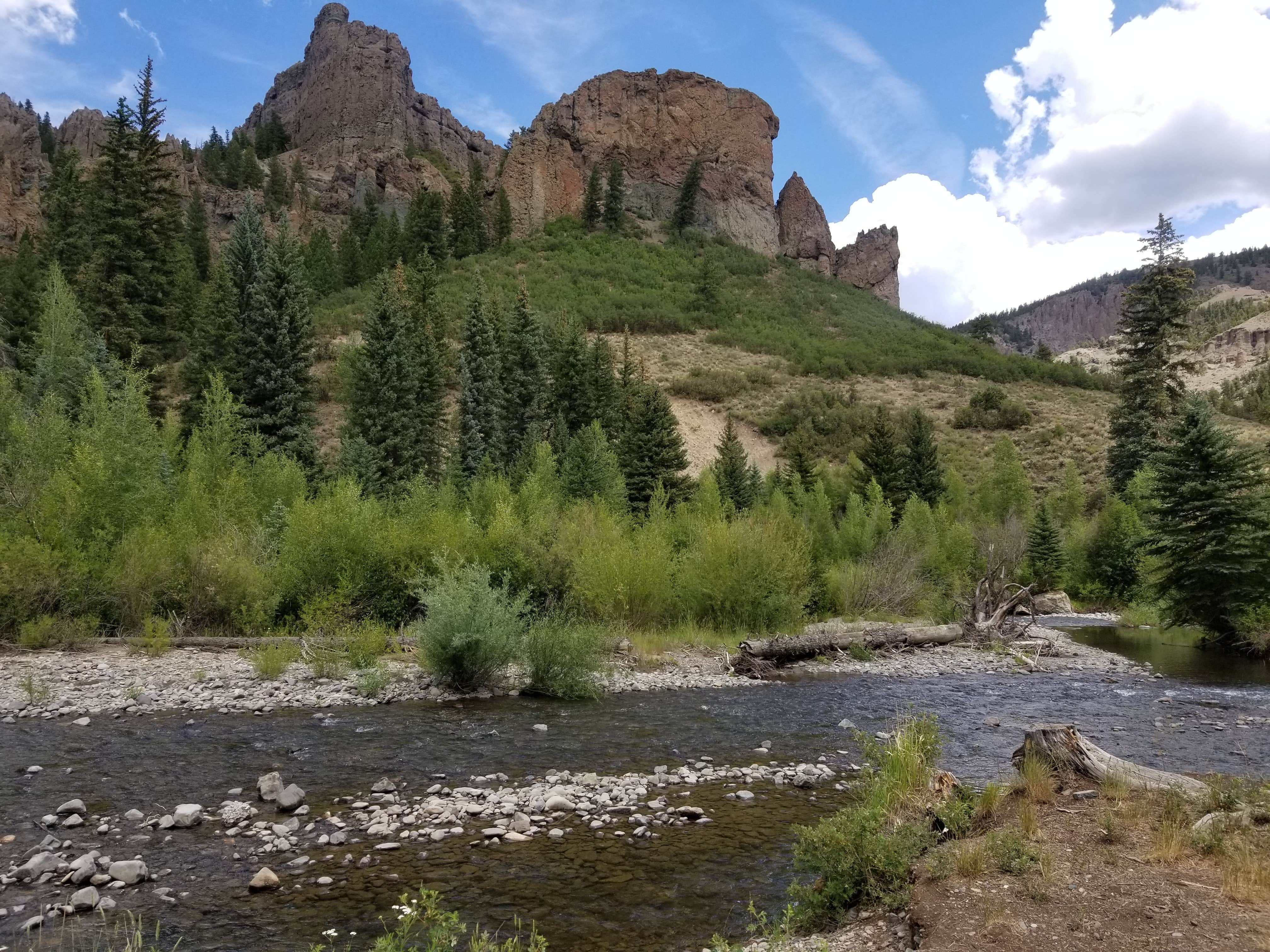 Camper submitted image from Gunnison National Forest Soap Creek Campground - 5