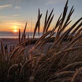 Review photo of Nehalem Bay State Park Campground by Pete T., July 23, 2020