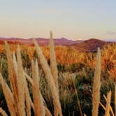 Review photo of Nehalem Bay State Park Campground by Pete T., July 23, 2020
