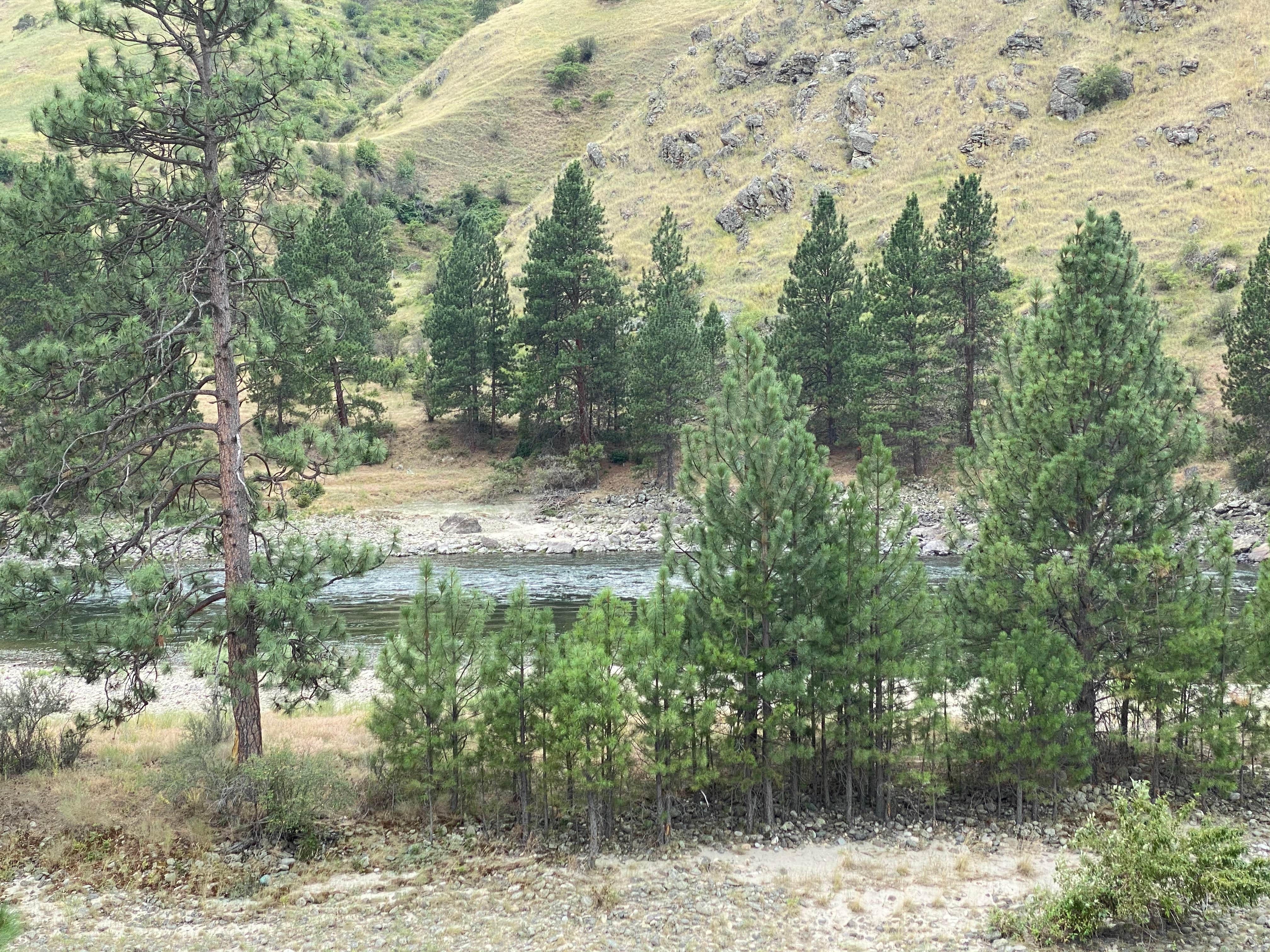 Camper-submitted photo at Slate Creek Recreation Site near White Bird, ID
