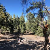 Review photo of Champion Road Dispersed Campsites by Brenda G., July 23, 2020