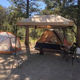 Review photo of Champion Road Dispersed Campsites by Brenda G., July 23, 2020