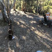 Review photo of Champion Road Dispersed Campsites by Brenda G., July 23, 2020