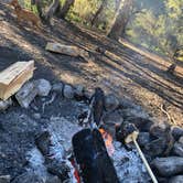 Review photo of Champion Road Dispersed Campsites by Brenda G., July 23, 2020