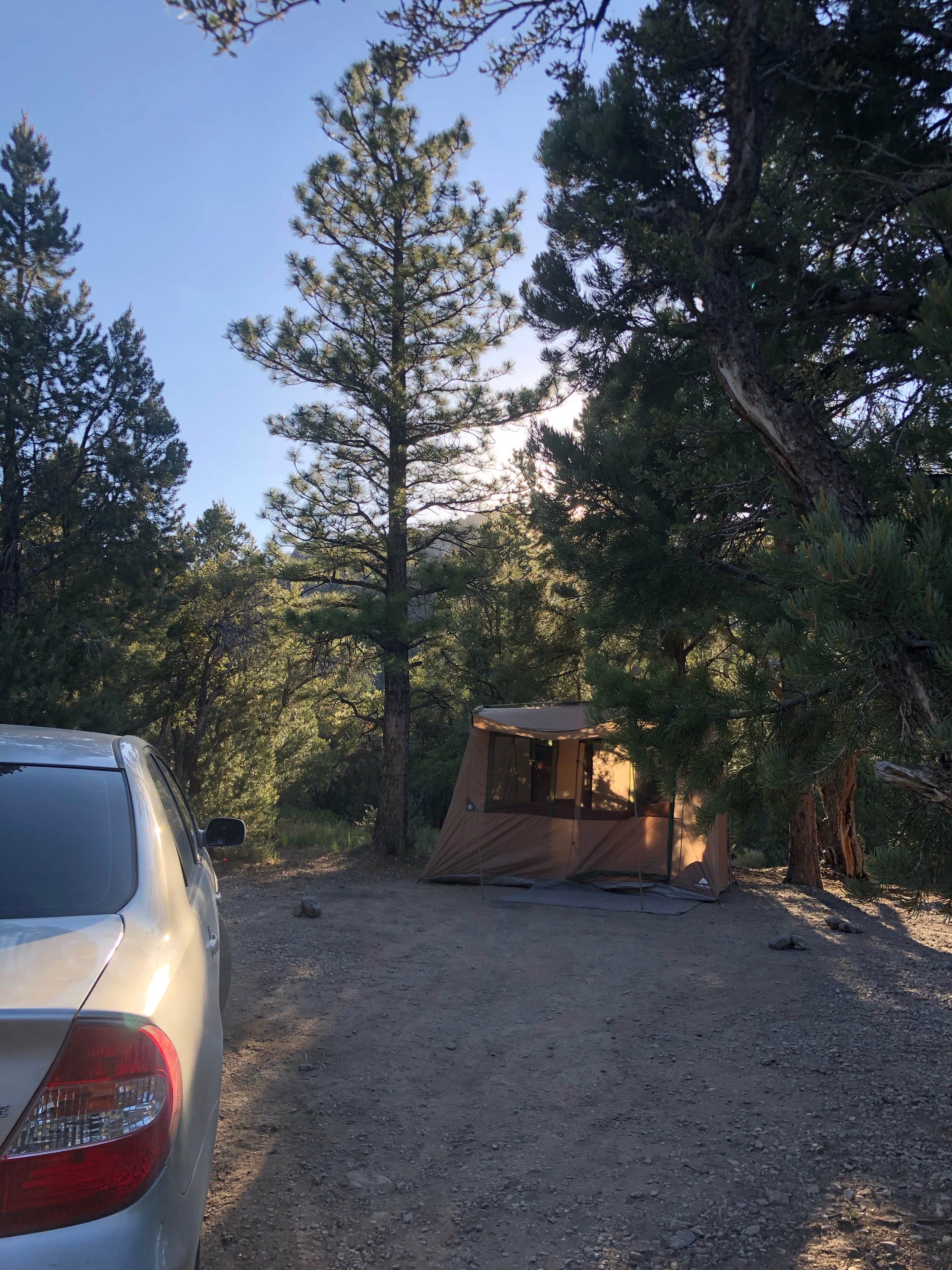 Brenda G.'s photo at Champion Road Dispersed Campsites near Las Vegas, NV