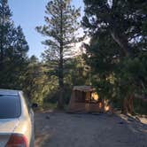 Review photo of Champion Road Dispersed Campsites by Brenda G., July 23, 2020