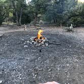 Review photo of Champion Road Dispersed Campsites by Brenda G., July 23, 2020