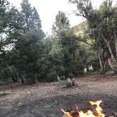 Review photo of Champion Road Dispersed Campsites by Brenda G., July 23, 2020