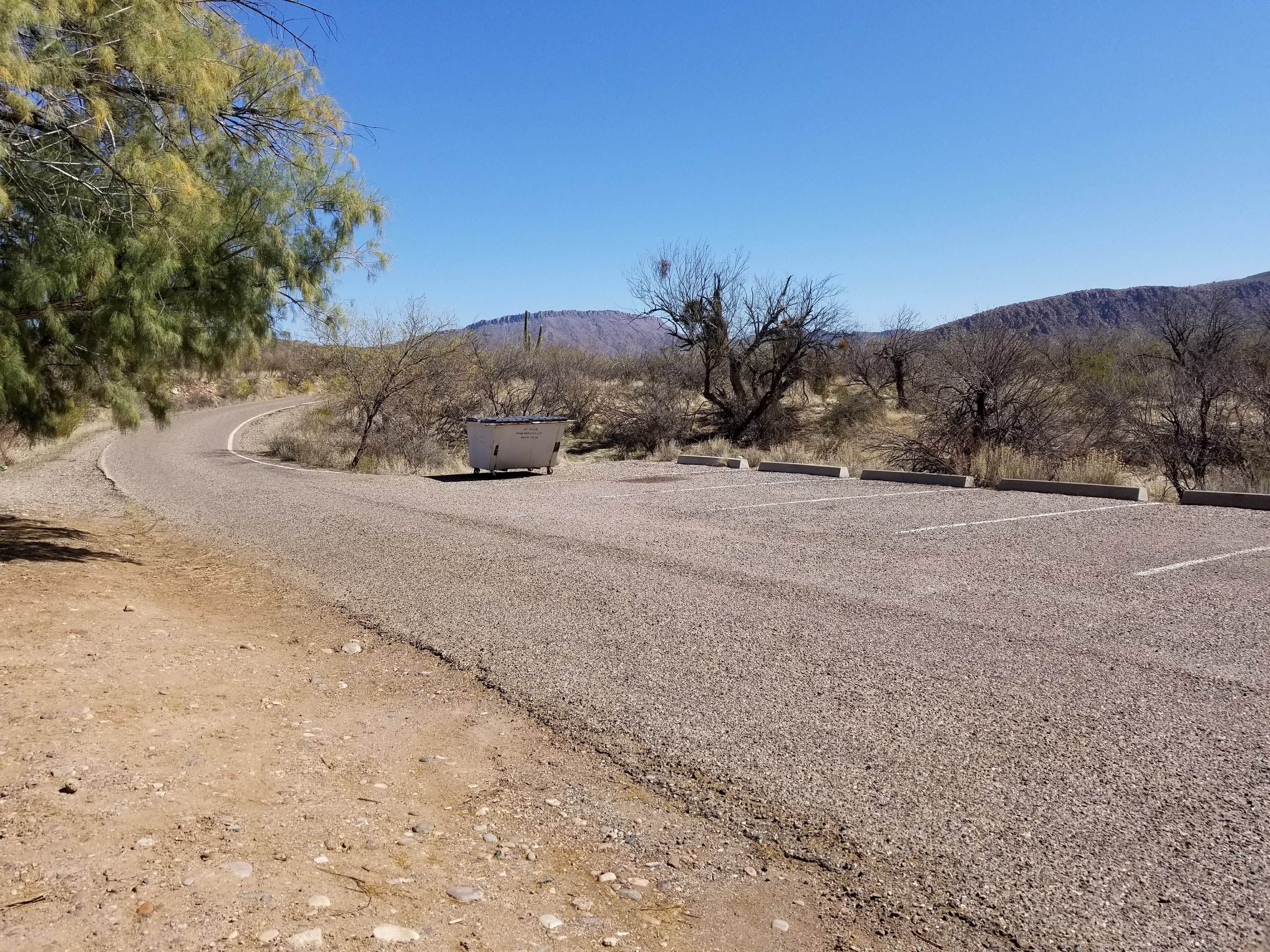 Camper-submitted photo at Eucalyptus near Globe, AZ
