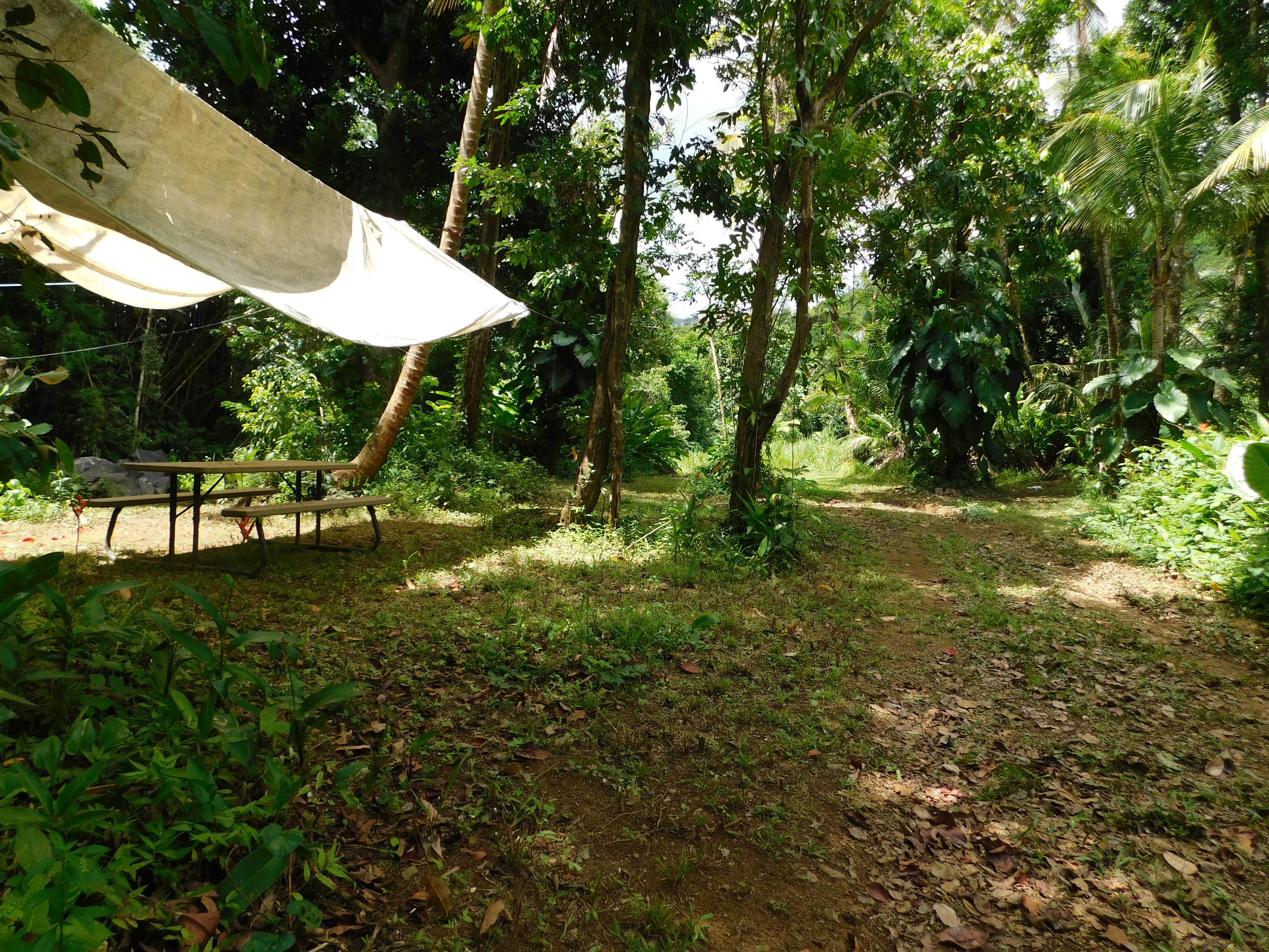Camper submitted image from Hacienda Monte Rey - 3