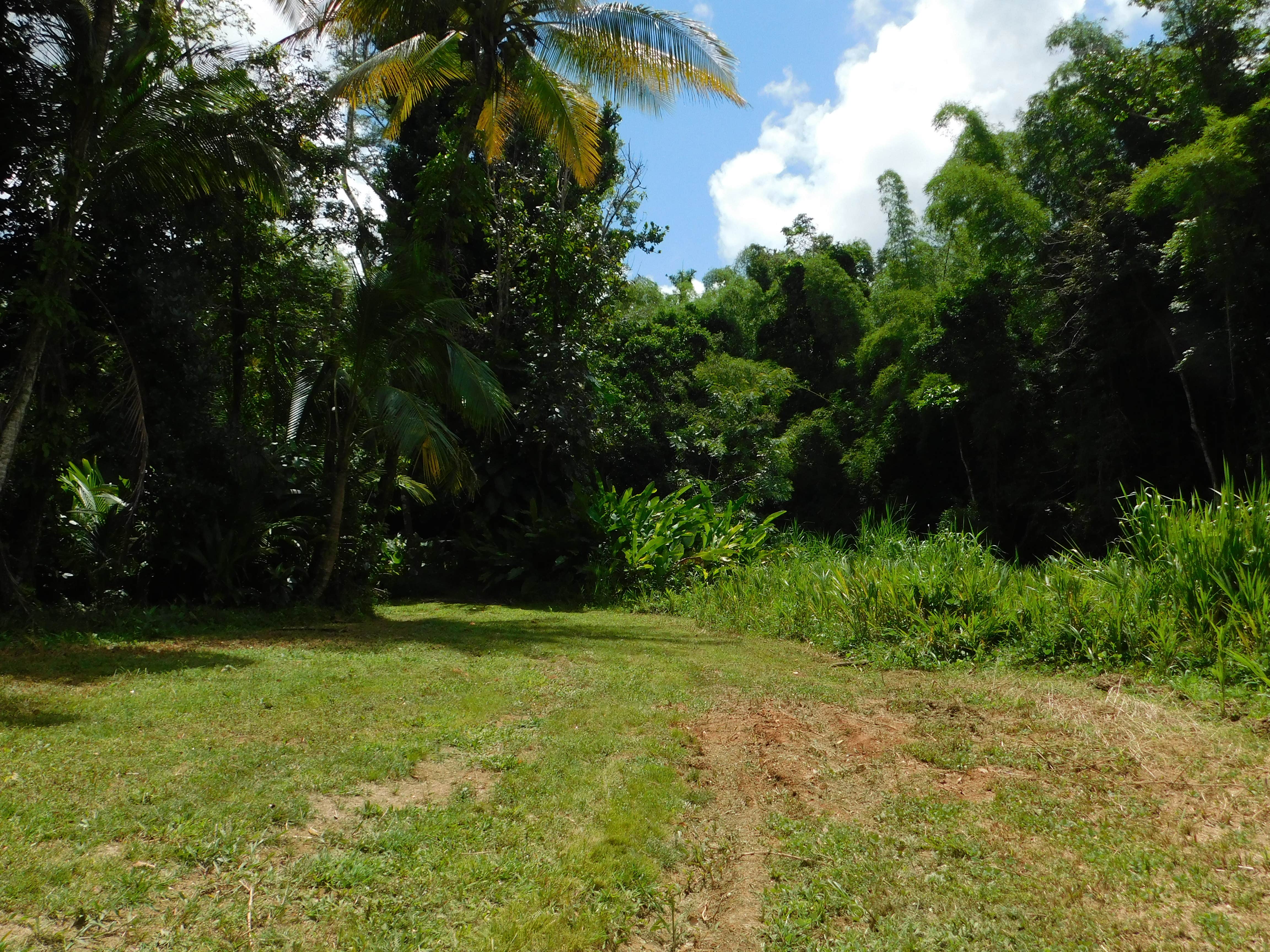 Camper submitted image from Hacienda Monte Rey - 4