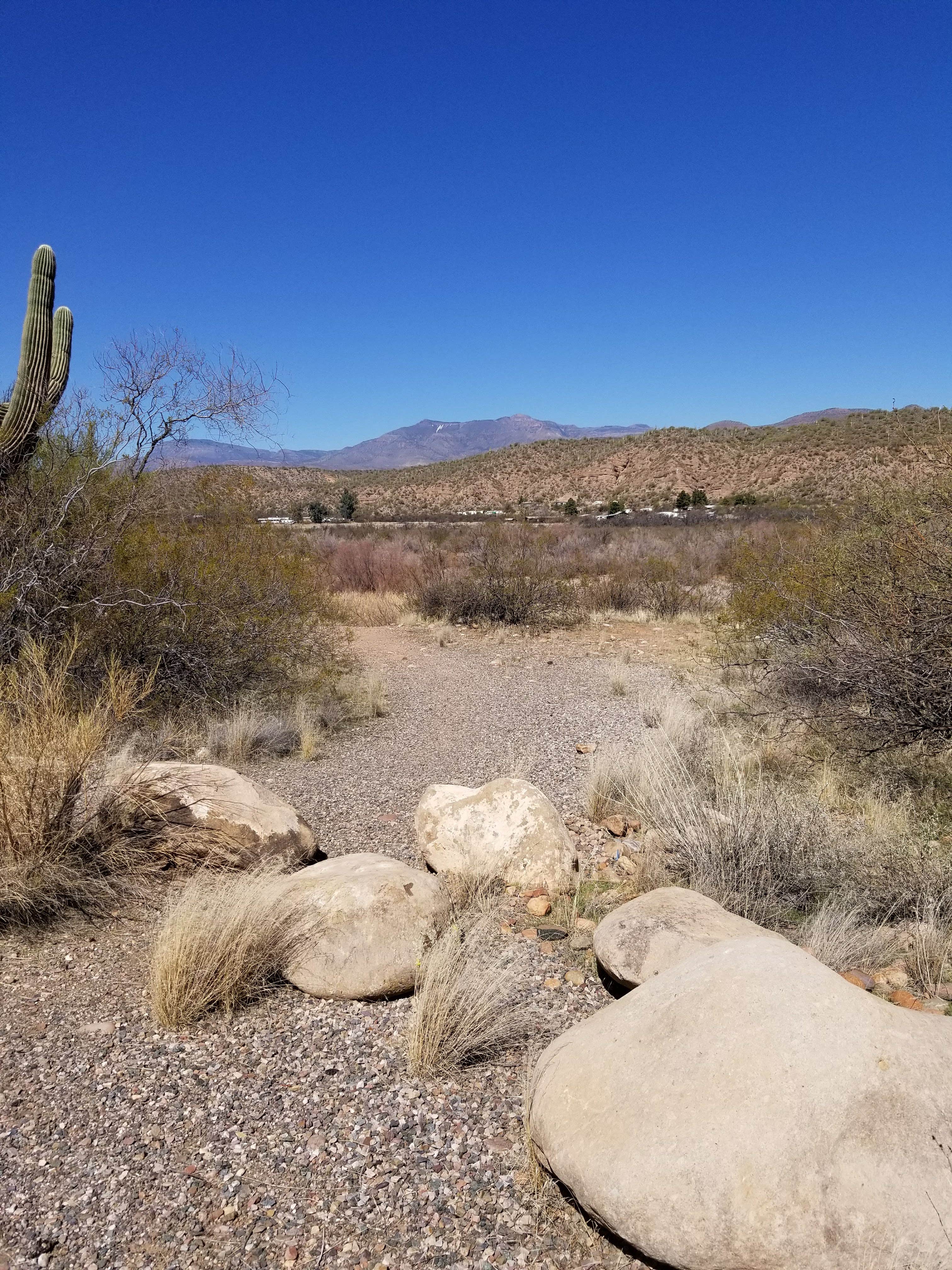 Camper-submitted photo at Eucalyptus near Globe, AZ
