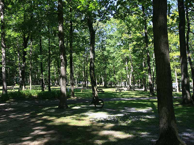 Camper submitted image from Hidden Acres Camping Grounds - 2