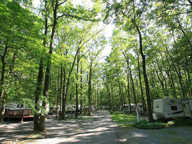 Camper submitted image from Hidden Acres Camping Grounds - 5