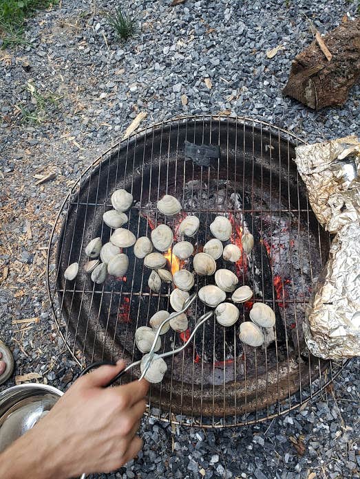 Camper-submitted photo at Hidden Acres Camping Grounds near Downingtown, PA
