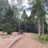 Review photo of Meadow Ridge by Fabio O., July 24, 2020