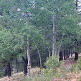 Review photo of Meadow Ridge by Fabio O., July 24, 2020