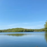 Review photo of Dispersed Camping — Hunts Pond State Forest by Secc P., July 24, 2020