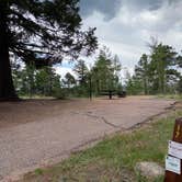 Review photo of Thunder Ridge by Fabio O., July 24, 2020