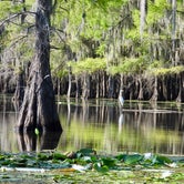 Review photo of Caddo Lake State Park Campground by Neal L., July 24, 2020