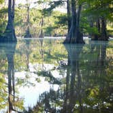 Review photo of Caddo Lake State Park Campground by Neal L., July 24, 2020