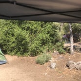 Review photo of Mesa Campground — Silverwood Lake State Recreation Area by Andi W., July 24, 2020