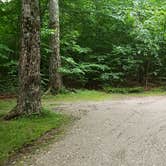 Review photo of Savoy Mountain State Forest by Jean C., July 24, 2020