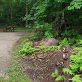 Review photo of Savoy Mountain State Forest by Jean C., July 24, 2020