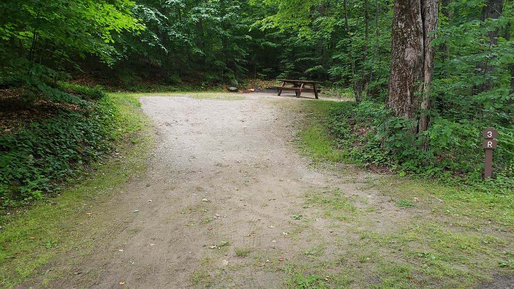 Camper-submitted photo at Savoy Mountain State Forest Campground near Whately, MA