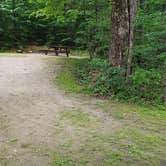 Review photo of Savoy Mountain State Forest by Jean C., July 24, 2020